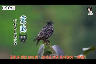 靈鼎 (161-180章) 作者：心碎夢思遷 (字幕：繁 简）