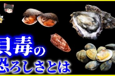 【ゆっくり解説】記憶喪失する貝毒…⁉️「貝毒」の恐ろしさとは？を解説/貝毒の種類、猛毒を持つ貝、最新の貝毒研究…人はいつから貝を食べていた？