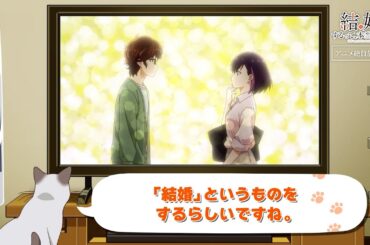 TVアニメ「結婚するって、本当ですか」かまの振り返り＆予告①