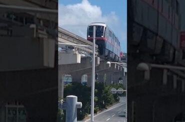 終夏風🌰           ①ゆいレール三両編成        20240912