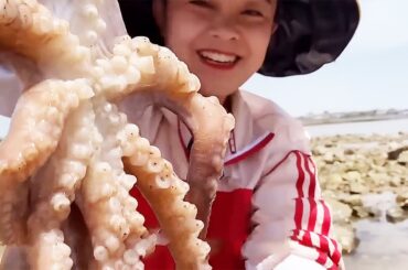 Low tide Xiaozhang Ganhai encountered octopus monster was startled