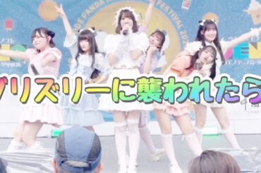 【kmi2muchu】グリズリーに襲われたら♡(神宿カバー) #k2mch #神宿 #アイドル #きみちゅー