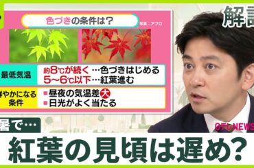 【“猛烈残暑”が紅葉にも影】平年より遅め？  読みづらい見頃  観光のコツは「情報戦で一気に日帰り」【#みんなのギモン】
