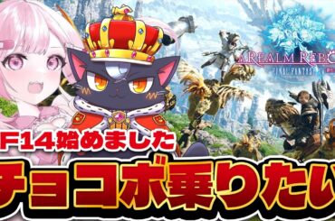 【4日目】🔰初心者2人エオルゼア旅　そろそろチョコボとか乗りたいんですけど…【FF14/こくめう/新人Vtuber/XIV】