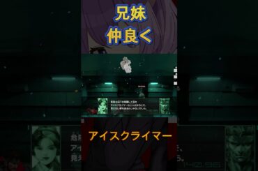 【アイスクライマー】兄妹愛仲良くて素敵だ   #スマブラsp #大乱闘スマッシュブラザーズspecial ソリッド・スネーク 通話 フノミヤ ポケモンｎ