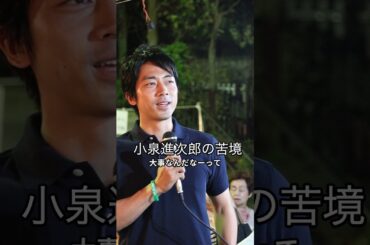 #小泉進次郎 の苦境  #shor   #shorts