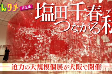 【大迫力】『塩田千春 つながる私（アイ）』の魅力に迫る！