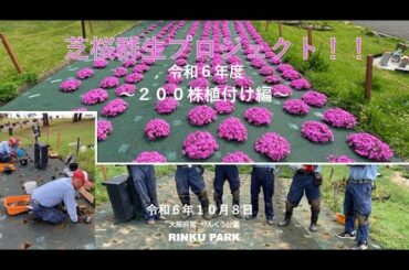 芝桜200株植付けが完了！！内海周辺法面に約50㎡の防草シートに位置出し→植穴掘り→肥料入れ→植付け→テーブ張り→潅水→完了→ドヤ顔です。公園スタッフ汗を流し頑張った様子です　＃芝桜　＃りんくう公園