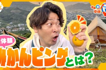 みかん狩り×グランピング！？新体験イベント「みかんピング」の魅力を徹底調査【朝生ワイド す・またん！】