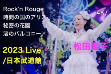 [4K] 2023 日本武道館 Live / Rock’n Rouge 〜 時間の国のアリス 〜 秘密の花園 〜 渚のバルコニー / 松田聖子 / “Parade" at 日本武道館 2023
