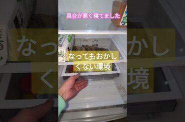 冷蔵庫 色づく街 南沙織 2024年1月28日