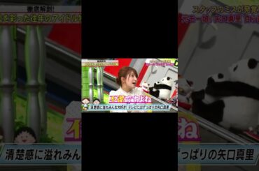 【脱力タイムズ】矢口真里#shorts