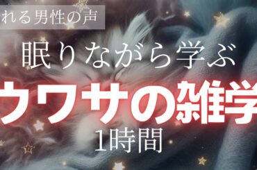 【寝る前に学ぶ】ウワサの雑学1時間【睡眠導入】