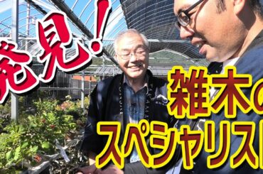 松だけじゃない！雑木盆栽のスペシャリストに出会う【高松盆栽の郷】