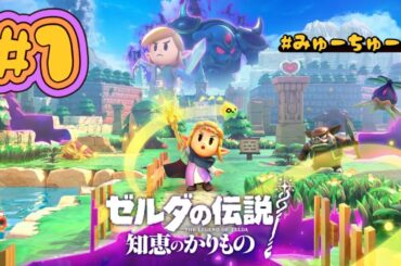 知恵試し【ゼルダの伝説 知恵のかりもの #1】