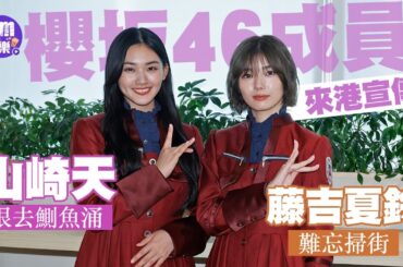 櫻坂46訪問｜山崎天恨去鰂魚涌 藤吉夏鈴難忘掃街