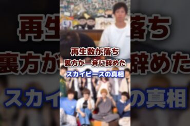 再生数がガタ落ちで裏方が一斉に辞めたスカイピースの真相 #スカイピース #退職 #真相