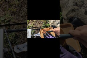 #shorts 湖畔ソロキャンプでどら焼き