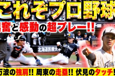 【これぞ！】プロ野球の“最高”が凝縮『万波の強肩・周東の走塁・伏見のタッチ』【全てを魅了】