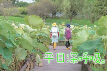 【#桑原由気 #高田憂希】「平日深呼吸。」# 54番宣｜AT-Xにて10/21（月）20:30～放送！