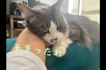 第207回 今日のテーマは“？"2024年10月16日(水)22:00頃から！