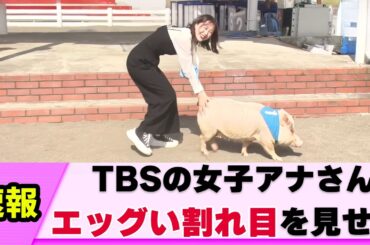 【縦線】女子アナさん うっかり食い込んでしまう【若林有子】【ネットの反応】