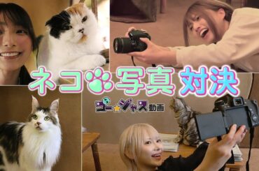 【にゃんこスナップ王決定戦】幻想的な猫カフェで可愛い写真撮影対決☆【完全版】