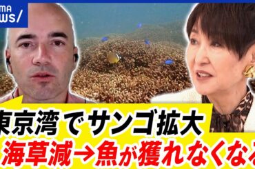 【サンゴ礁】東京湾で拡大中？海水温の上昇で何おきる？無関心さどう解消？｜アベプラ