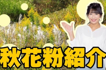 秋花粉紹介映像