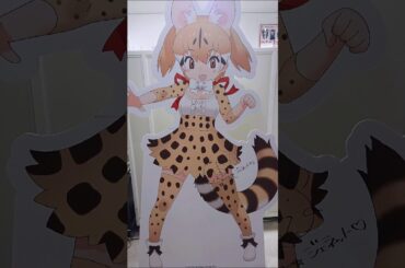 【🇯🇵旅日記】新宿マルイメン:けものフレンズ３ 5th ANNIVERSARY SHOP パネル #Shorts