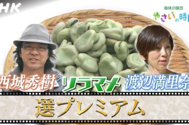 [やさいの時間]【10/27(日)放送】選プレミアム映像！西城秀樹、渡辺満里奈がソラマメの栽培に挑戦！| NHK