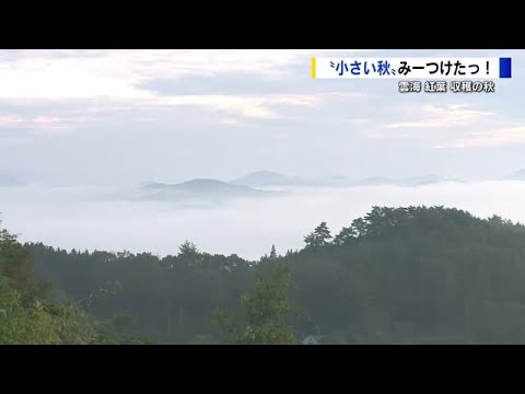 少しずつ歩み寄る“秋本番”の景色 「雲海」「旬の食材・レンコン」「木々の色づき」 少しずつ歩み寄る“秋本番”の景色 「雲海」「旬の食材・レンコン」「木々の色づき」