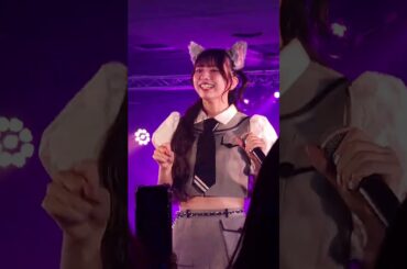 わーすた　いぬねこ青春真っ盛り。（ほぼ三品瑠香推しカメラ）