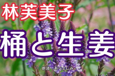 【朗読】林芙美子「桶と生姜 」　　朗読・あべよしみ