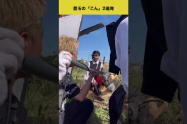 #福本莉子 豊玉🦊コンッ🦊2連発Toyotama🦊Kon🦊