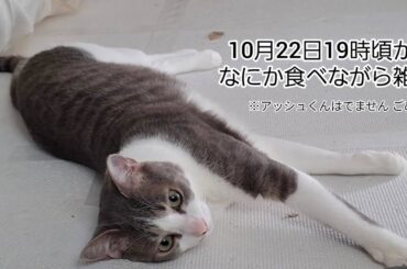 なにか食べながら雑談