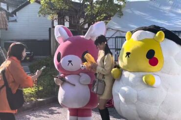 ジンくん・もみじちゃん・ゆっふぃー