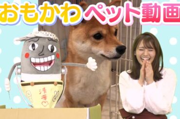 【激カワ】フジアナのかわいい家族大公開！/FODアナマガ「フジアナのいろイロ」