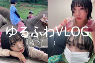 酒を飲んだり、ゾウに乗ったり、実家に帰ったりしているビデオです