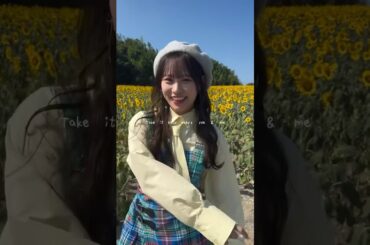 🐬🌻