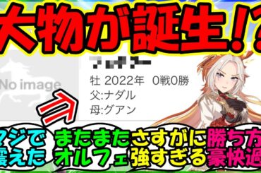 【ウマ娘 反応集】『オルフェーヴルの孫からとんでもない馬が誕生にSNSで大反響！』に対するみんなの反応集 ウマ娘 まとめ フェデラー 武豊 競馬 【ウマ娘プリティーダービー】