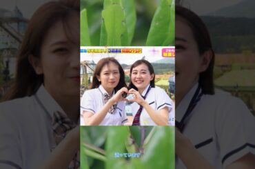 【若林有子】アナ、大胆ミニスカ制服姿で釜山ロケ！ファンから絶賛の声