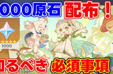 【要注意】参加して「1000原石」！ナタ5.1！キャラ無料配布あり！！【解説攻略】シロネン/ナヒーダ/チャスカリークなし
