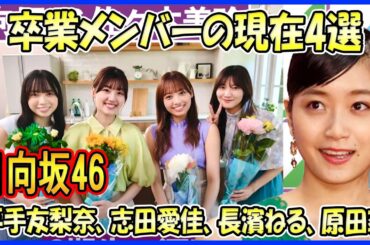 【日向坂46】欅坂46・櫻坂46を卒業したメンバーの現在4選（平手友梨奈、志田愛佳、長濱ねる、原田葵)