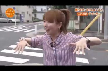 とんねるず石橋貴明  木梨憲武  桐谷美玲  鈴木 福  AIKOと行くきたなトラン