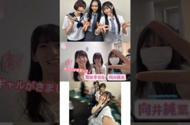 向井純葉 元気を貰えるギャルないとちゃん♩カワイイいとねこ♩