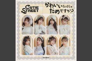 かわいいだけじゃだめですか？