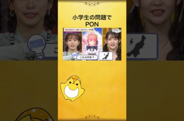 #さくらみこ が #ホロライブ から初ゲストとして登場！小学生の問題に挑戦するも...？ @SakuraMiko  #上坂すみれ #芹澤優 #上坂芹澤と夜あそび #声優と夜あそび #shorts