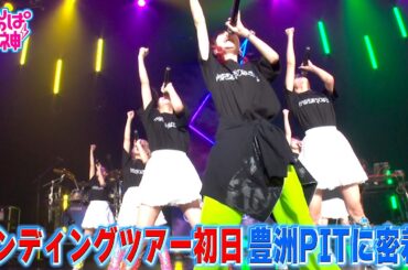 でんぱの神神「エンディングツアー初日東京・豊洲PITに密着！」