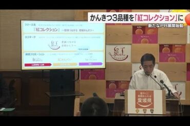 歌と動画は愛媛県出身の声優・水樹奈々さん　愛媛県産かんきつの新たなプロモーションとは【愛媛】 (24/10/24 19:01)